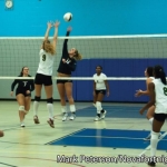 Volleyball Team Splits Two