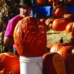 Fall Into Fun at Your Local Pumpkin Patch