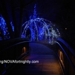 Last Chance to See Holiday Lights at Botanical Gardens