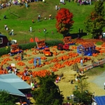 Cox Farms Fall Festival & Fields of Fear Starts This Month
